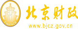 www.操吧北京市财政局