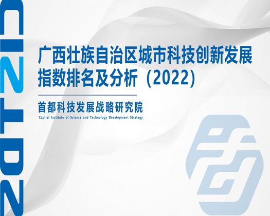 日逼9网【成果发布】广西壮族自治区城市科技创新发展指数排名及分析（2022）